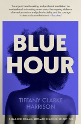 Blue Hour by Tiffany Clarke Harrison